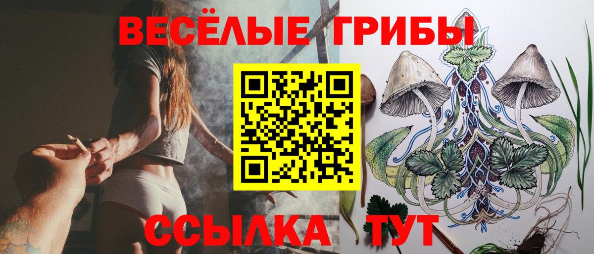 Галлюциногенные грибы MAGIC MUSHROOMS Гуково