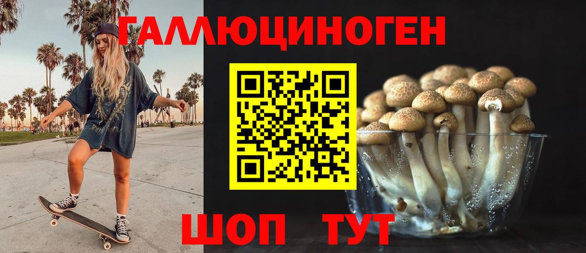 Гуково  Галлюциногенные грибы мицелий  Вход с VPN  Псилоцибиновые грибы GOLDEN TEACHER 